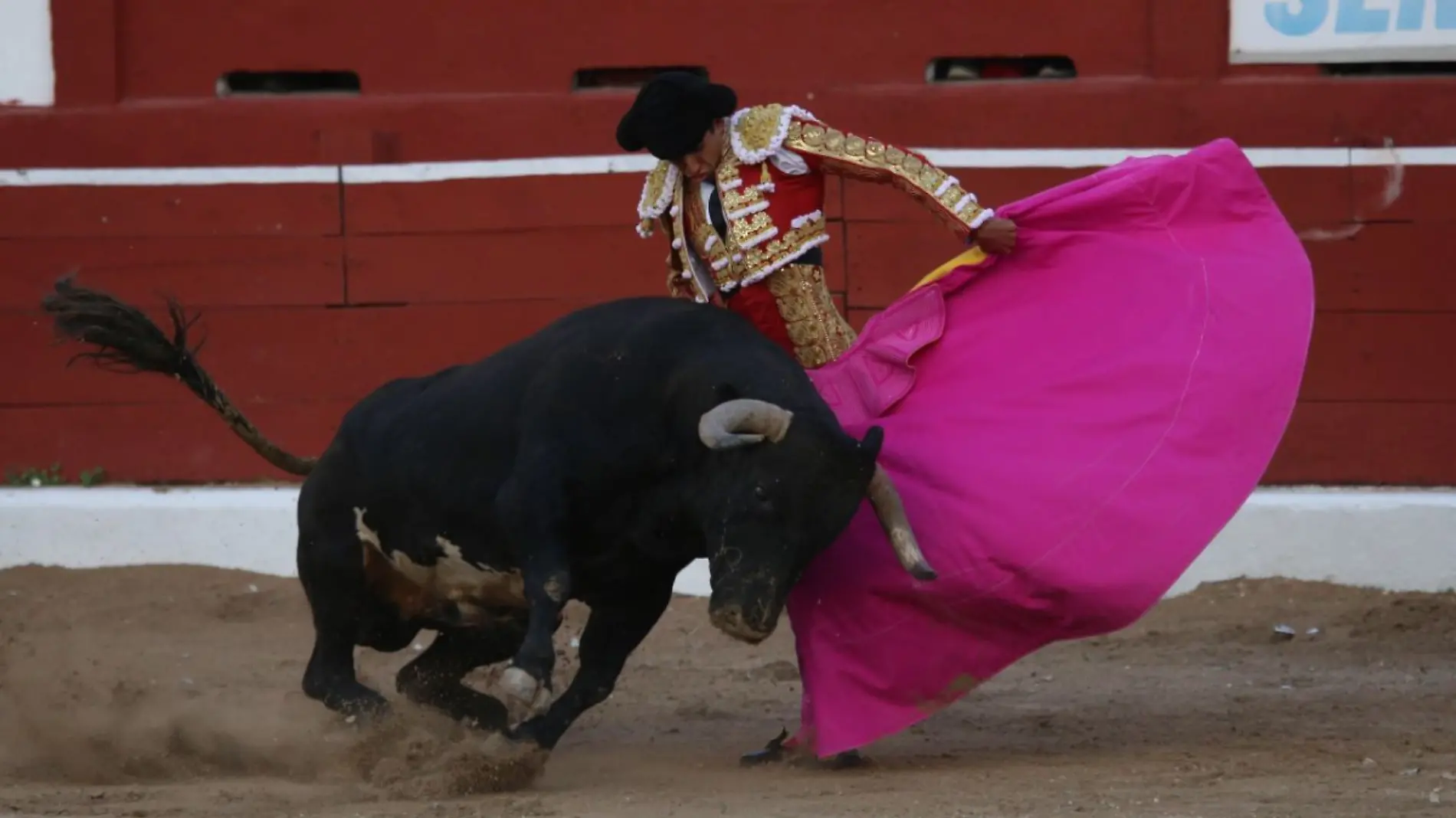 Corridas de toros 